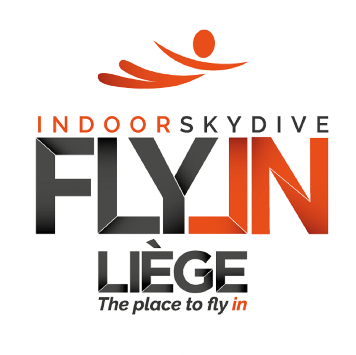 FLYIN Indoor Skydive - Logo